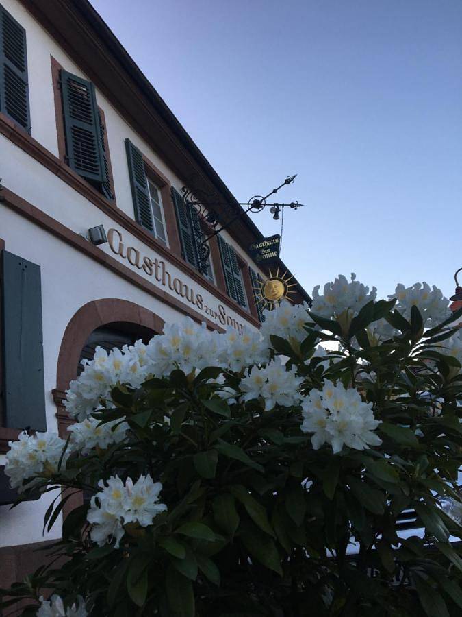 Hotel für 2 Personen, mit Terrasse in Rhodt unter Rietburg