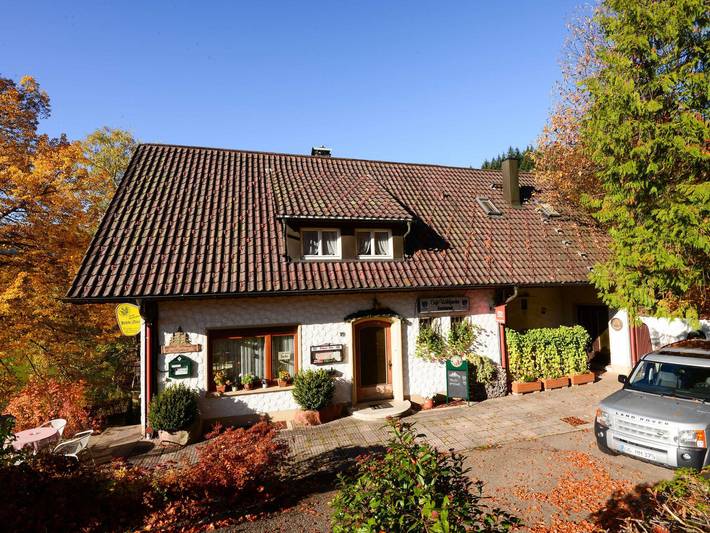Ferienwohnung für 3 Personen, mit Ausblick und Garten sowie Terrasse und Sauna, mit Haustier in Bad Peterstal-Griesbach - 2