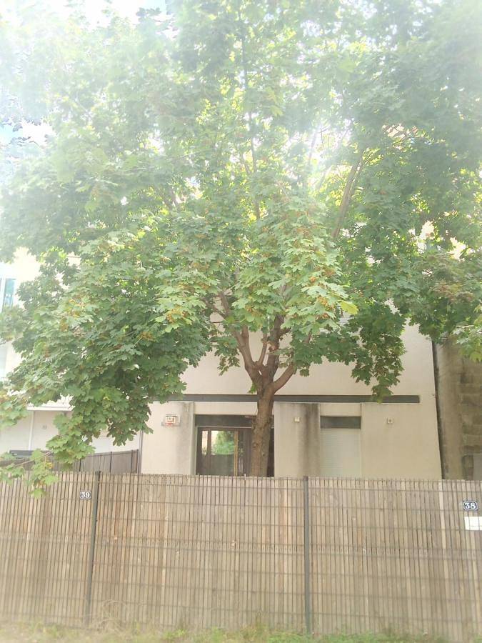 Maison d’hôte pour 4 personnes, avec jardin et vue dans Saint-Étienne - 4