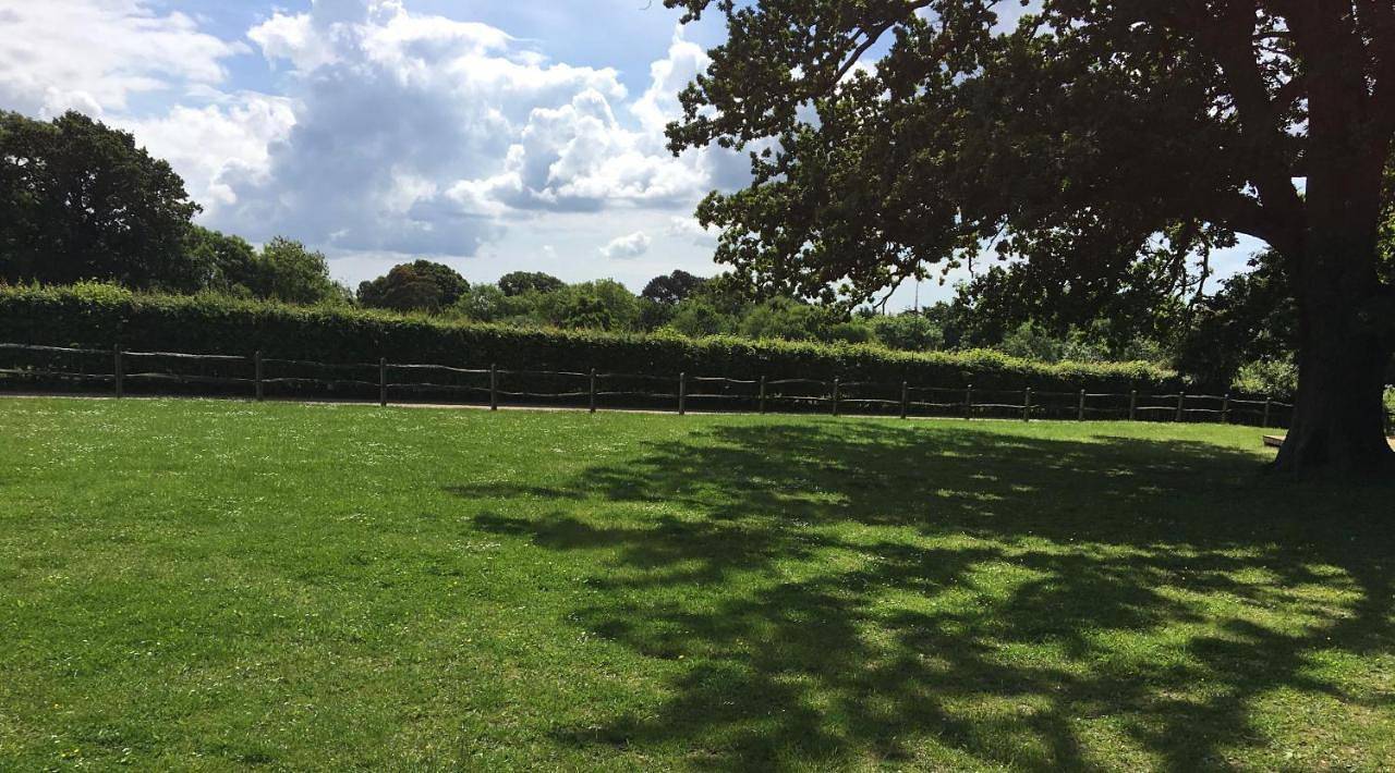 Yurt in Havant, South Downs