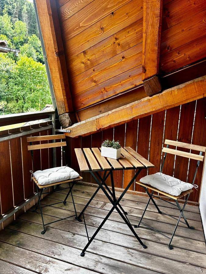 Gîte pour 6 personnes, avec jardin et sauna ainsi que vue et terrasse à Paluzza - 2