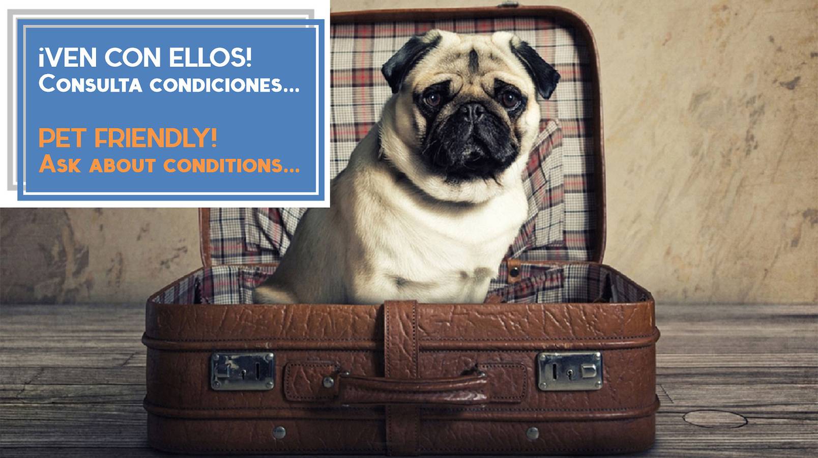 Entire apartment, El Balcon de Moret in Cadiz Old Town, Cádiz