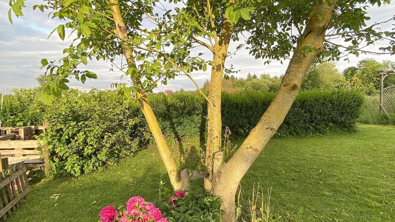 Ganze Ferienwohnung, Ferienwohnung für 4 Personen (70 m²) in Blieskastel in Blieskastel, Saarpfalz-Kreis