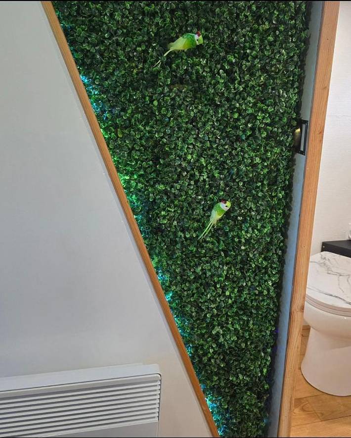 Bateau pour 2 personnes, avec vue ainsi que terrasse et vue sur le lac, animaux acceptés dans Hauts-de-France - 2