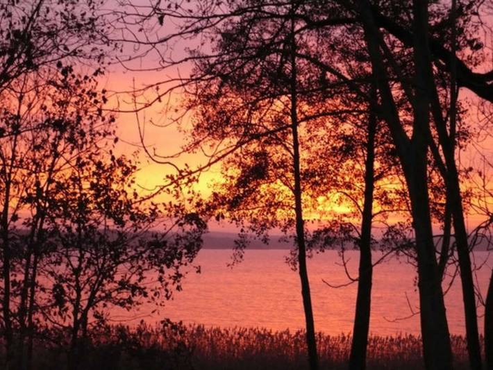 Ferienwohnung für 2 Personen, mit Terrasse und Garten sowie Seeblick in Userin - 4