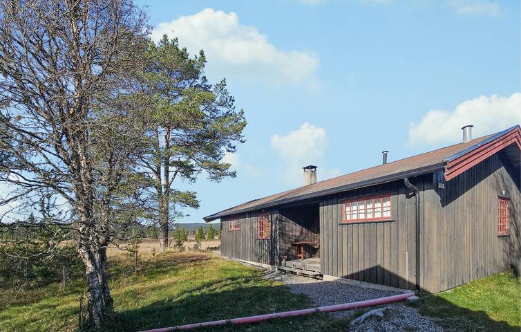 Ferienhaus für 8 Personen, mit Terrasse und Garten sowie Sauna, mit Haustier - 1