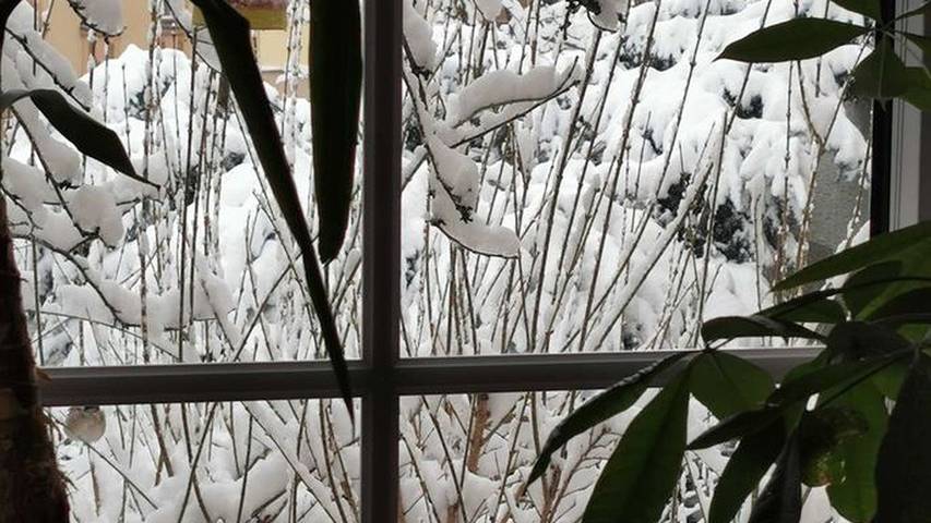 Ferienwohnung für 4 Personen, mit Garten, mit Haustier in Hohenlohe - 4