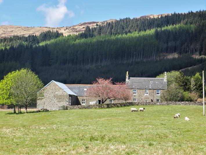 Cottage for 5 people, with garden, with pets on the Isle of Mull