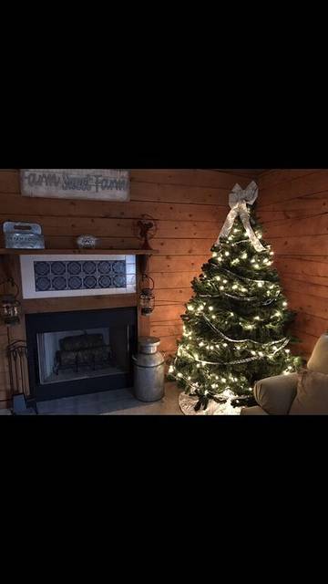 Log Cabin for 8 Guests in Table Rock Lake, Taney County, Picture 2