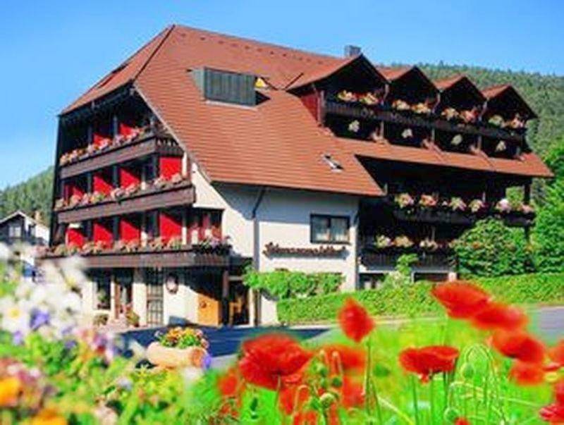 Single Room in Enzklösterle, Nordschwarzwald