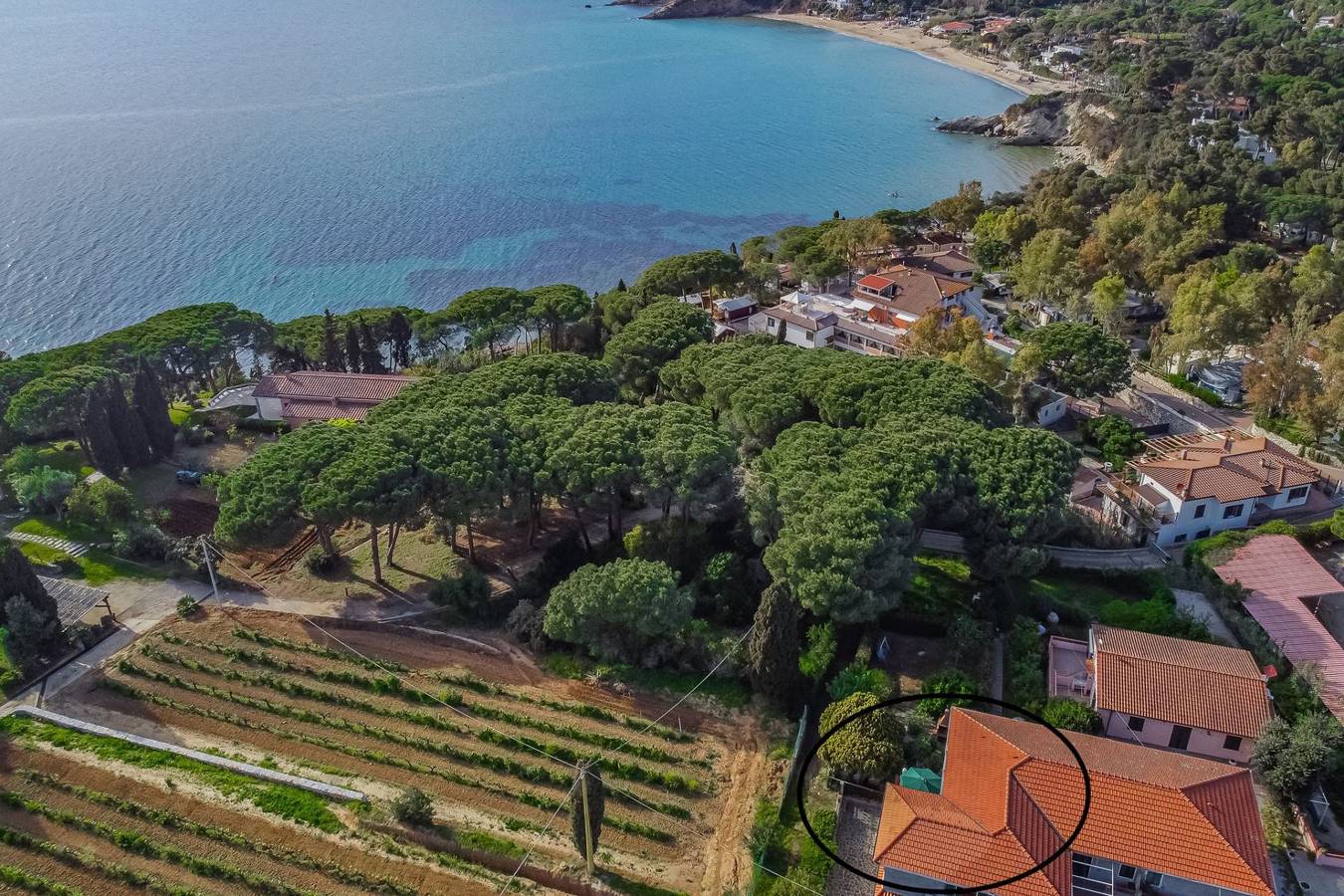 La Scogliera in Capoliveri, Elba