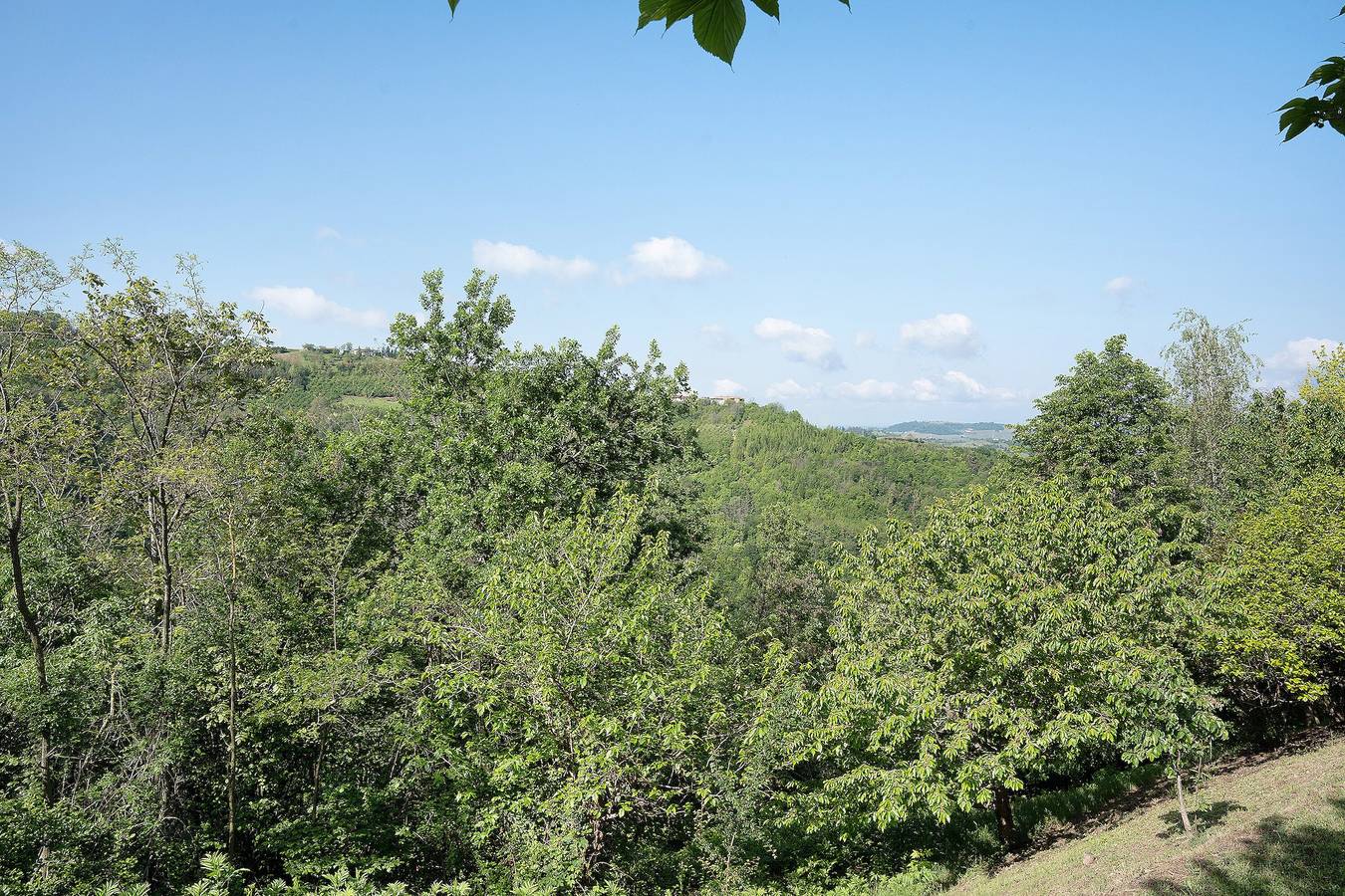 Entire apartment, Holiday Home 'La Corte di Langa Alloggio Ambra' with Mountain View, Pool & Wi-Fi in Cerreto Langhe, Langhe