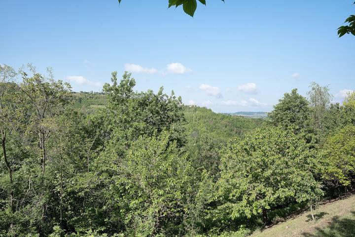 Hel lägenhet, Lägenhet för 4 Personer med bastu in Albaretto della Torre, Langhe