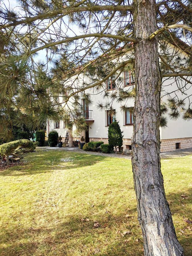 Gästehaus für 2 Personen, mit Ausblick und Garten, mit Haustier - 1