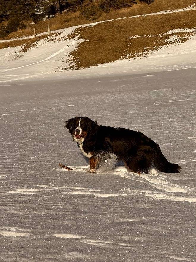 Ferienwohnung für 4 Personen, mit Ausblick und Garten in Nauders