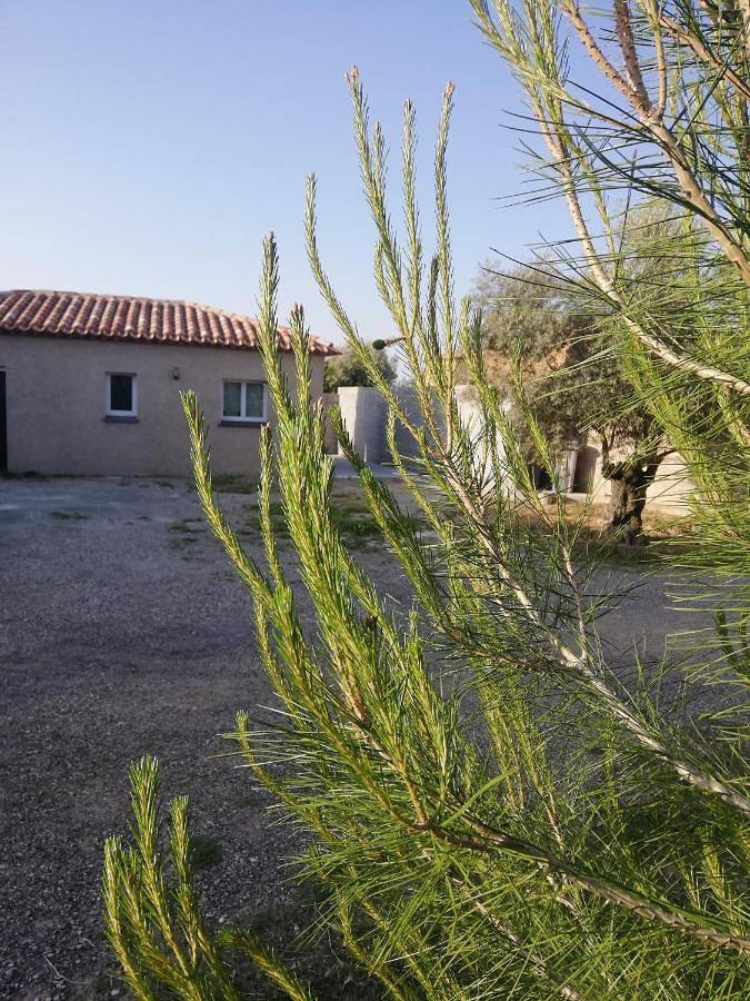 Location de vacances pour 2 personnes, avec jardin à Magalas