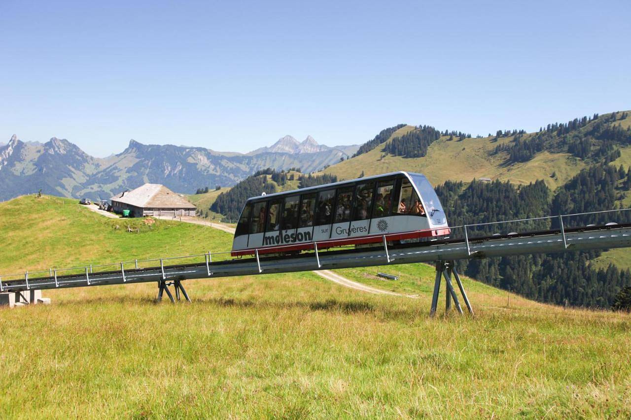 La Pierre à Catillon in Gruyères, Friburgo (cantão)