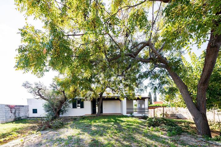 Villa per 8 persone, con terrazza a Porto Cesareo