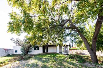 Villa pour 8 personnes, avec terrasse à Porto Cesareo