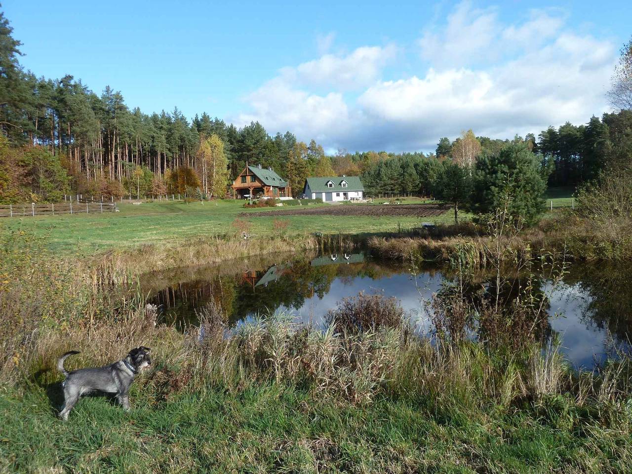 Dom wakacyjny w spokojnym położeniu in Powiat wejherowski
