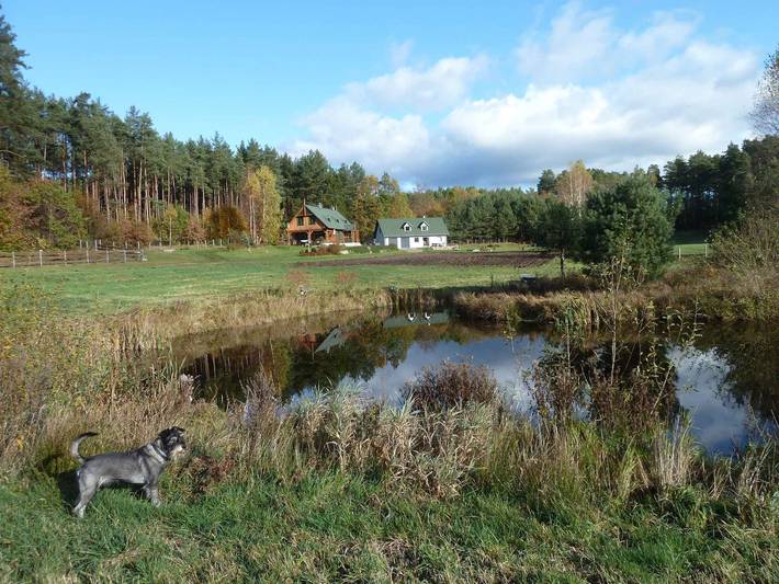 Bauernhof für 6 Personen in Polen - 4
