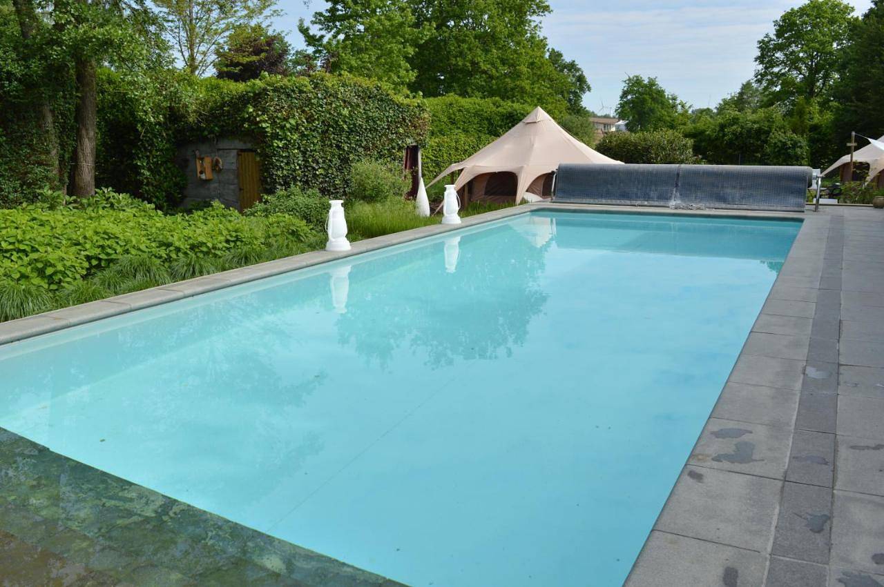 Guesthouse De Witte Merel Deluxe in Paal, Beringen