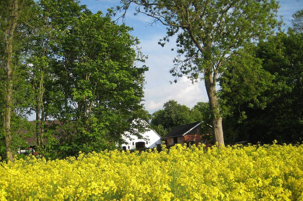 Ganze Wohnung, Neue Ferienwohnung im alten Bauernhaus in Cappel, Cuxland