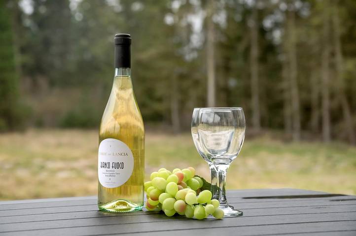 Ferienhaus für 8 Personen, mit Whirlpool und Sauna sowie Terrasse, mit Haustier auf Rømø - 3