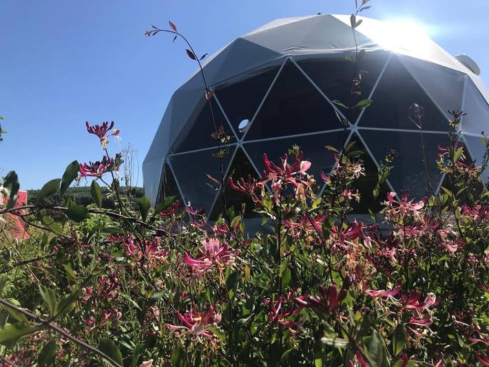 Camping für 6 Personen, mit Ausblick und Garten, mit Haustier in Polen - 2