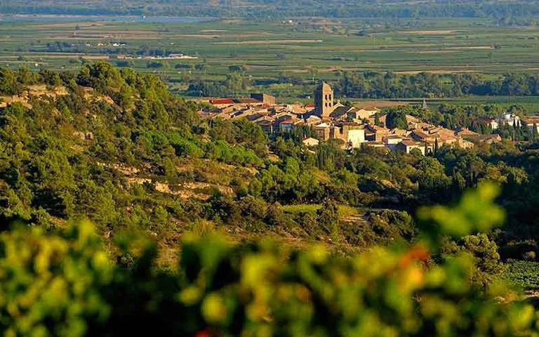 Location de vacances pour 8 personnes, avec jardin et vue, animaux acceptés à La Livinière - 2