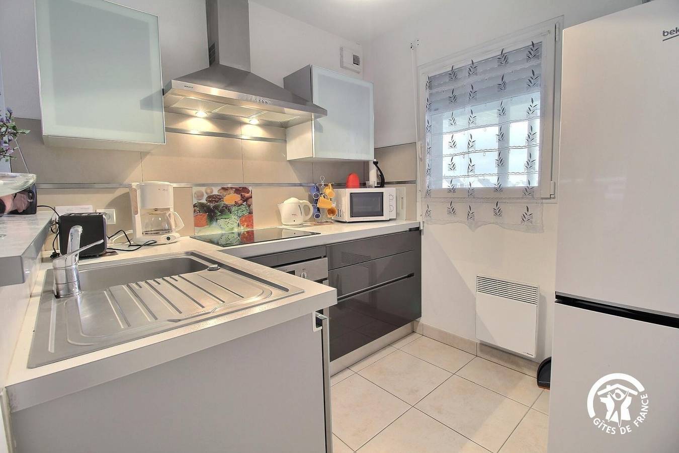 Les coquillages in Damgan, Côte des Mégalithes