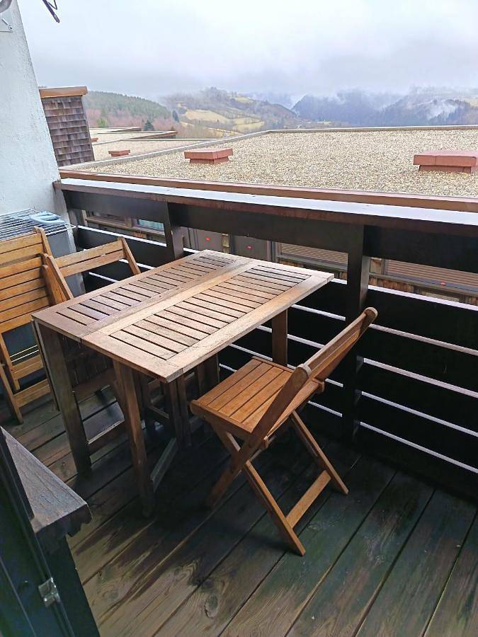 Gîte pour 2 personnes, avec terrasse et vue, animaux acceptés dans La Banne d'Ordanche - 4