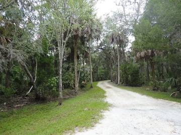 Log Cabin for 4 People in Homosassa, Florida, Photo 2