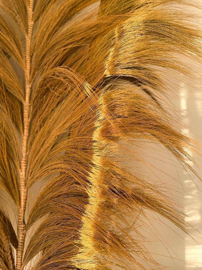 Villa pour 6 personnes, avec jardin et vue à Frontignan - 2