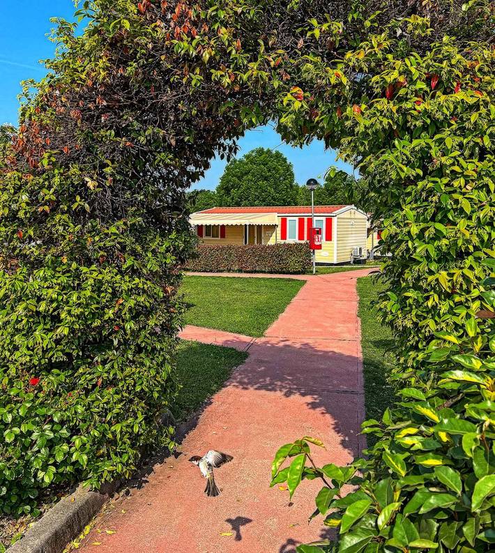 Bungalow für 6 Personen, mit Garten am Gardasee - 2