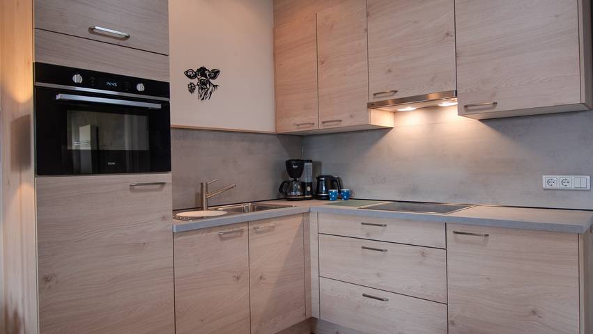 Ferienhaus für 4 Personen, mit Terrasse und Garten in Losser - 4