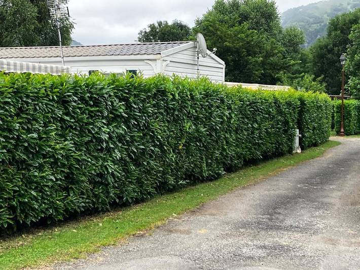 Location de vacances pour 5 personnes, avec terrasse ainsi que jardin et vue à Gère-Bélesten - 4