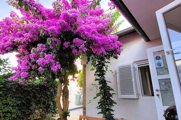Maison de vacances pour 4 personnes, avec jardin - 1