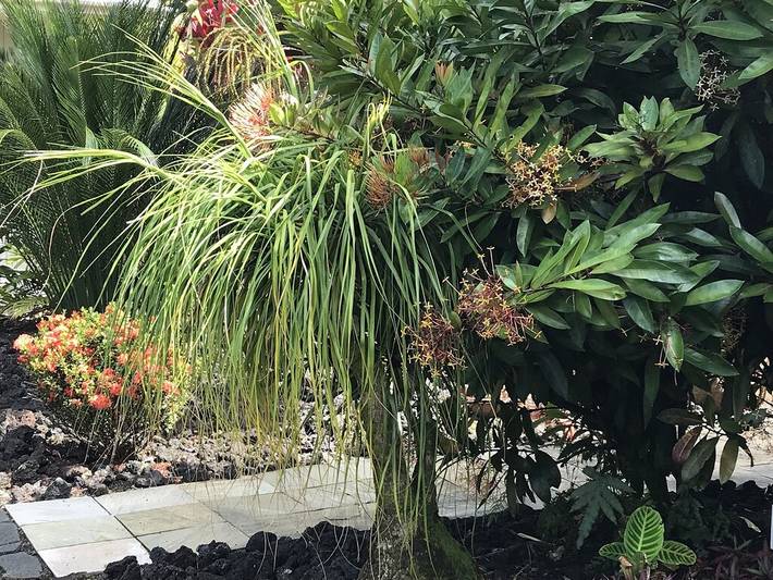 Cottage für 4 Personen, mit Terrasse und Garten - 1