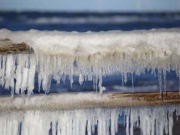 Ferienwohnung für 3 Personen in Prerow, Darß, Bild 4
