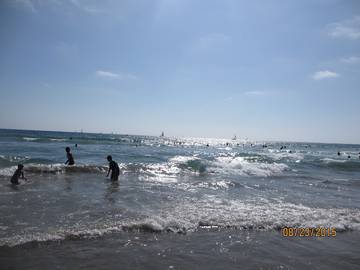 Bungalow for 6 Guests in Venice Beach, Los Angeles, Picture 2