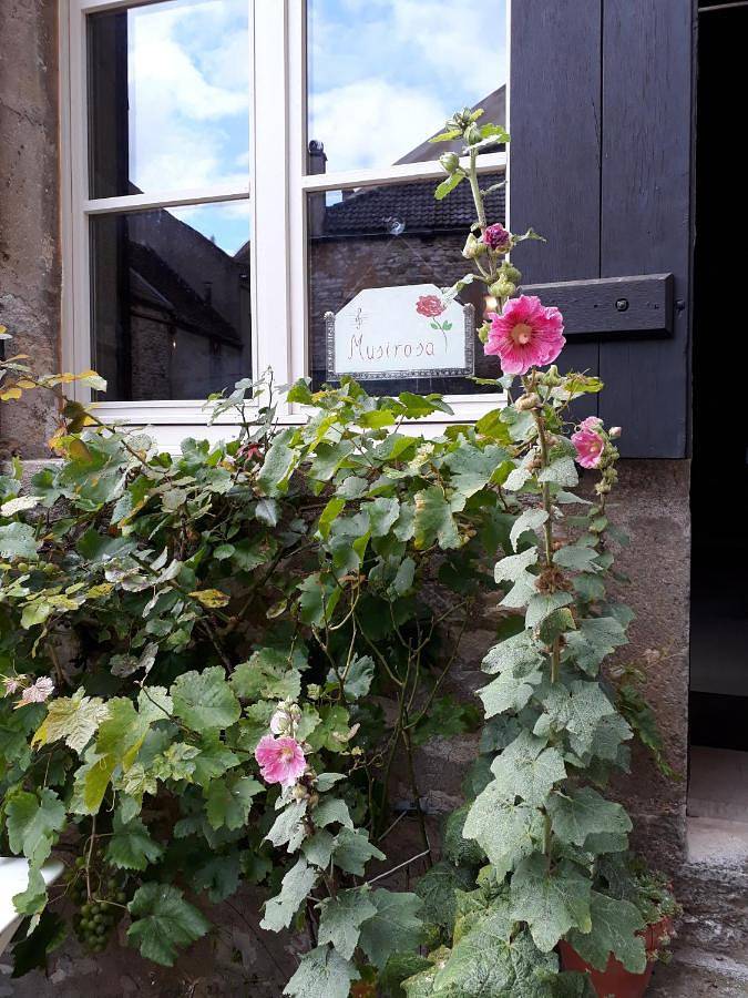 Location de vacances pour 2 personnes, avec vue et terrasse à Vézelay - 4