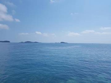 Ferieleilighet til 4 Personer i Općina Župa dubrovačka, Dubrovnik-Neretva, Bilde 3