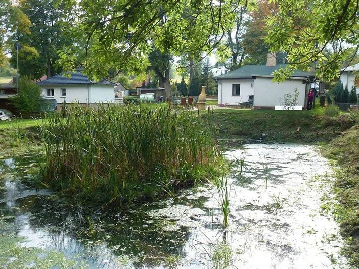 ||-------"Haus Waldesruh"------------------|| in Elbingerode, Harzvorland