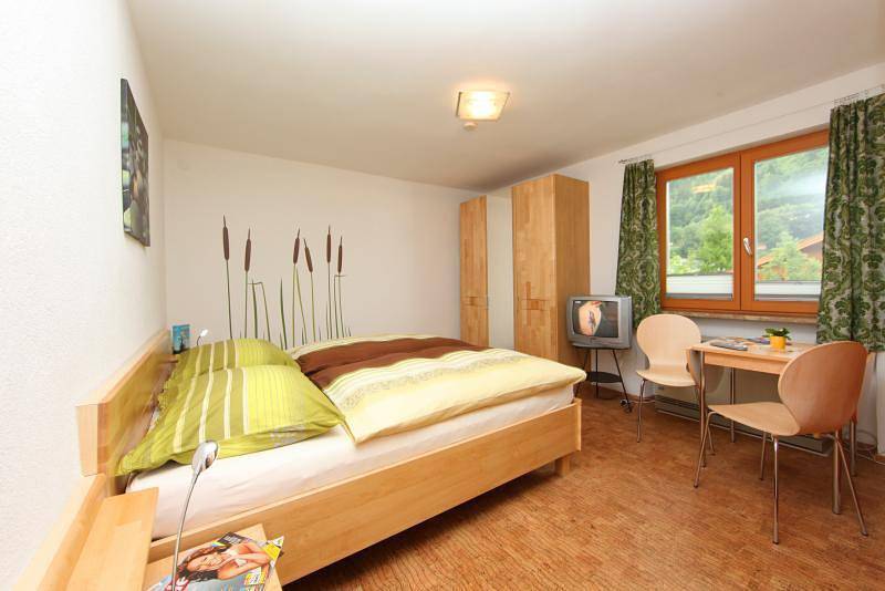 Haus Elisabeth in Zell am See, Kitzbüheler Alpen