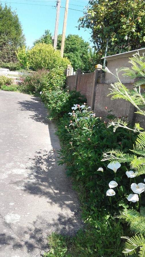 Location de vacances pour 2 personnes, avec jardin à Pleine-Fougères - 4