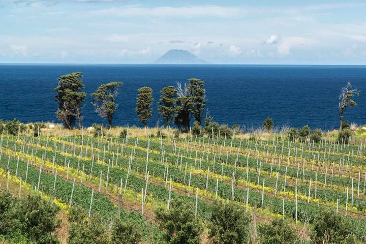 Villa per 5 persone, con Idromassaggio e Terrazza nonché Giardino a Messina