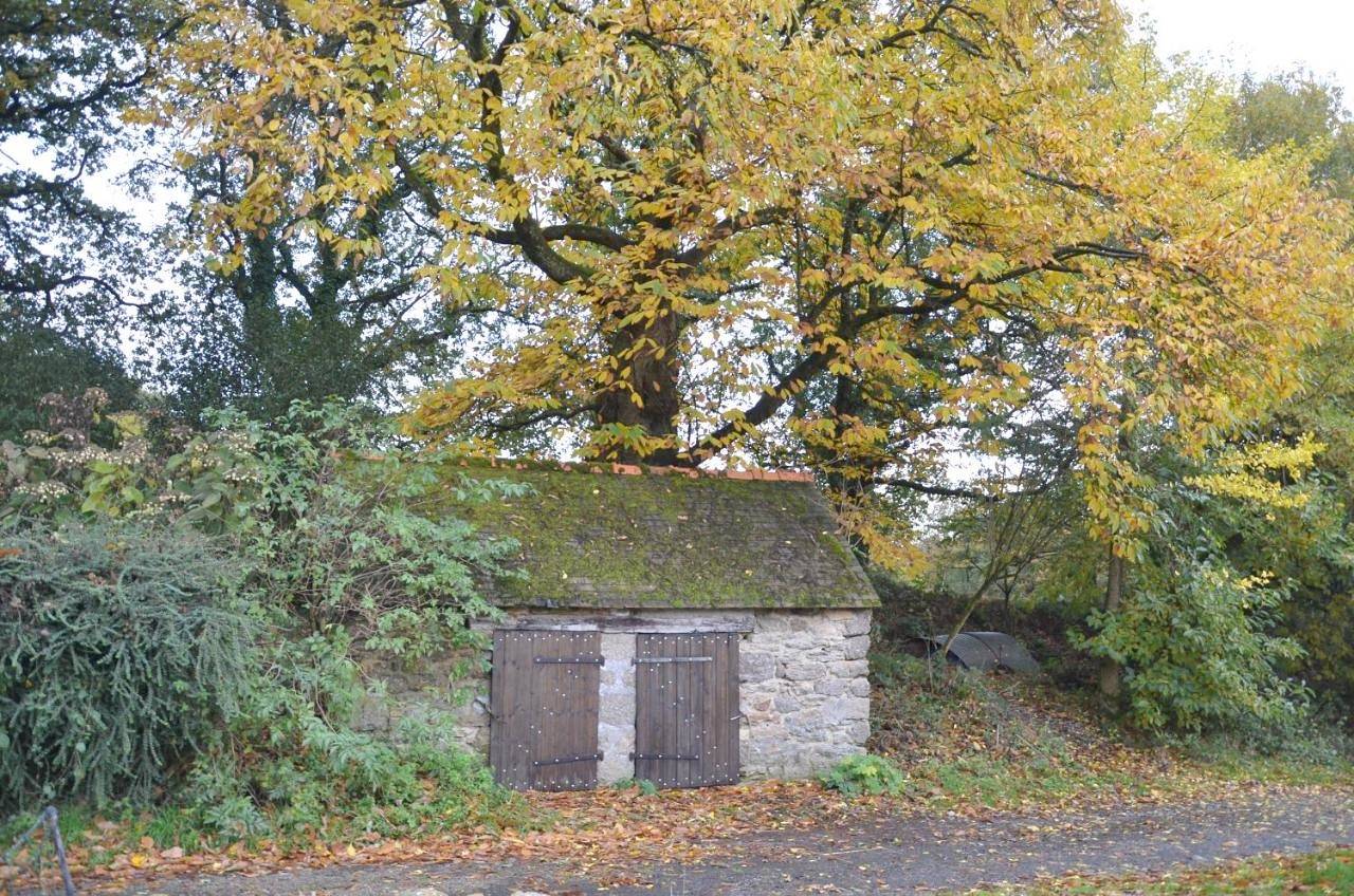 One-Bedroom House in Canihuel, Région de Guingamp