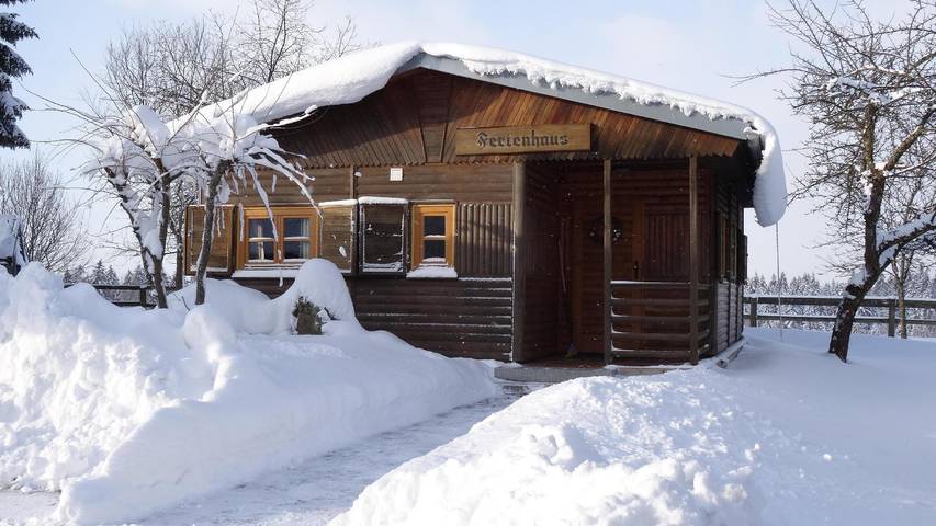 Ferienhaus für 5 Personen, mit Terrasse und Garten sowie Sauna, mit Haustier in Neureichenau - 2