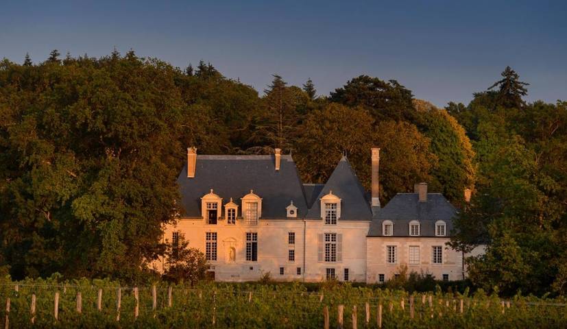 Location de vacances pour 4 personnes, avec piscine et jardin à Huisseau-sur-Cosson - 2